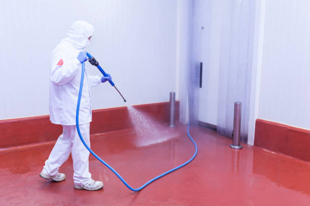 Best Restaurant Pressure Washing  in Talluh, LA