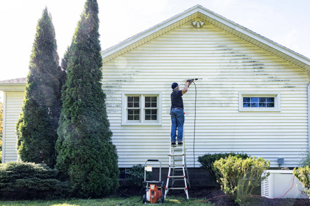 Best House Exterior Washing  in Talluh, LA